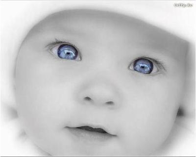 trop mignon...