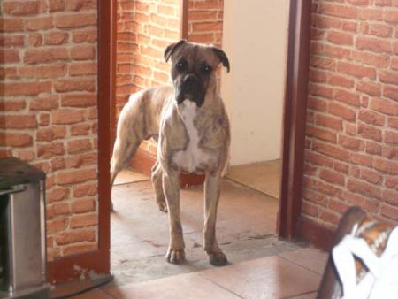 Tyson